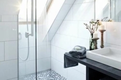 Utilisez les combles pour aménager une petite douche