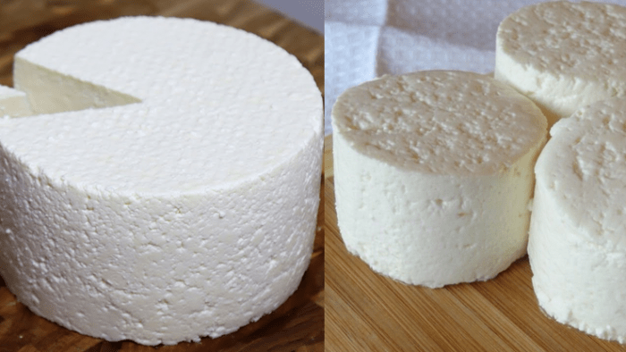 Recette facile du fromage maison avec du lait et du citron