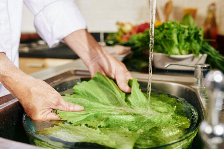 4 astuces pour conserver votre salade fraîche plus longtemps 