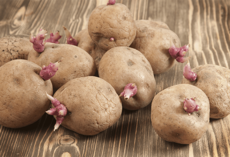4 astuces pour empêcher les pommes de terre de germer