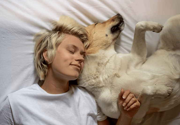 Peut-on vraiment dormir avec son chien dans le lit ?