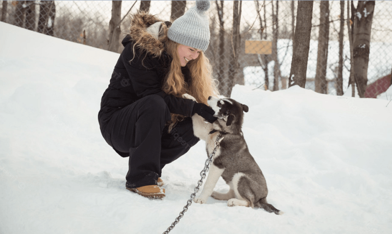 5 conseils pour préparer votre chien à l’hiver