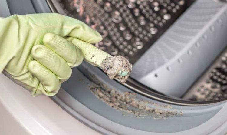 Comment éliminer les mauvaises odeurs et nettoyer à fond les caoutchouc de la machine à laver