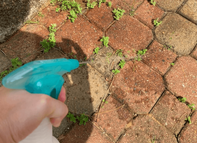 Se débarrasser des mauvaises herbes