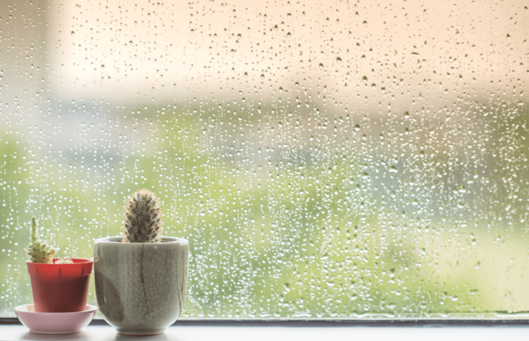 récupérer de l’eau de pluie quand on vit en appartement