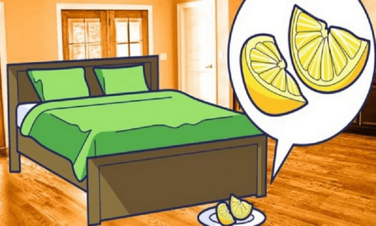 Couper quelques citrons et placer les dans votre chambre
