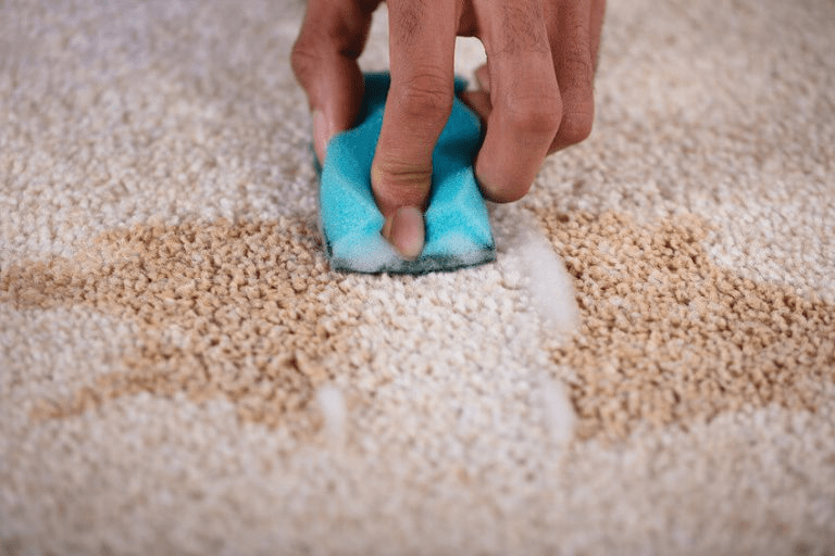 Fabriquer un nettoyeur de tapis fait maison