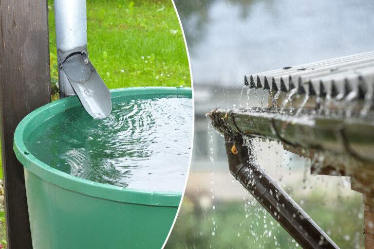 Comment Récupérer l’Eau de Pluie sans Risquer une Amende ?