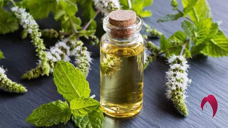 11 Utilisations Étonnantes de l'Huile Essentielle de Menthe Poivrée