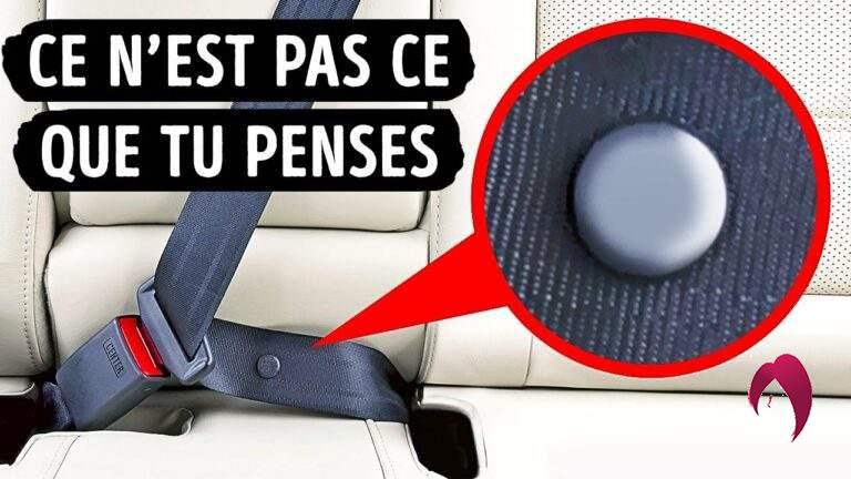 À quoi sert le bouton de la ceinture de sécurité ?