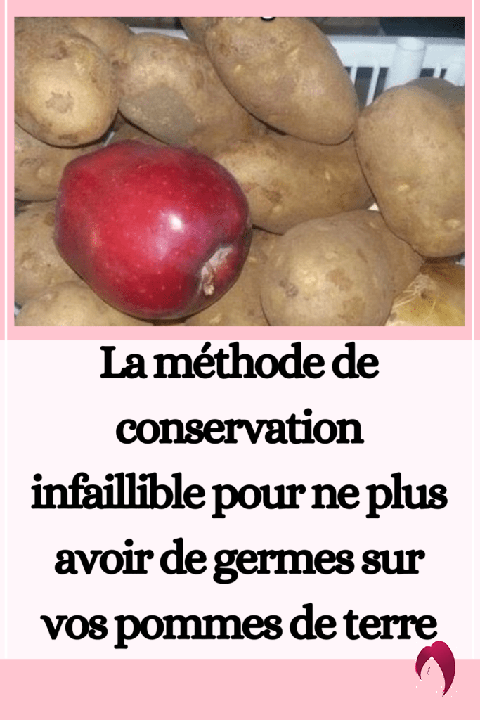  empêcher vos pommes de terre de germer