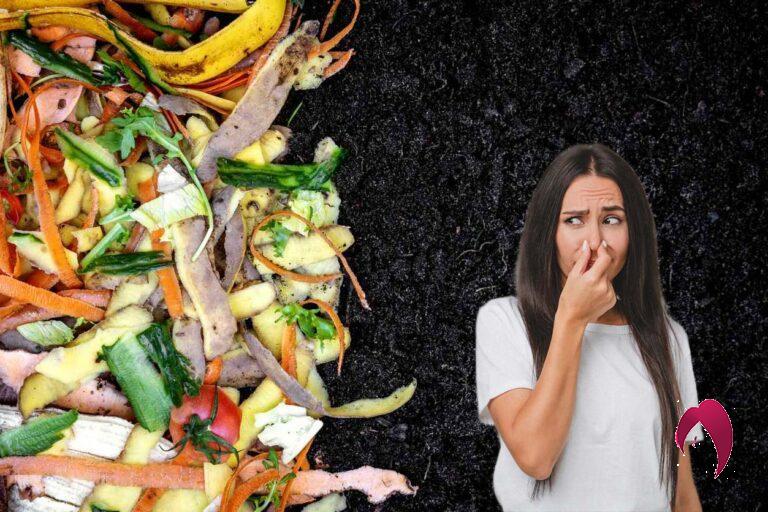 mauvaises odeurs de votre compost
