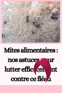 Mites alimentaires : nos astuces pour lutter efficacement contre ce fléau