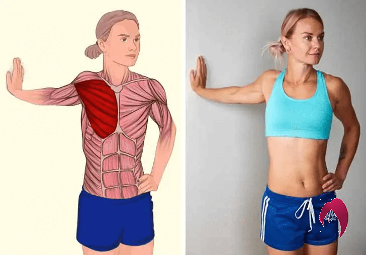 18 illustrations qui montrent exactement quels muscles vous étirez 
