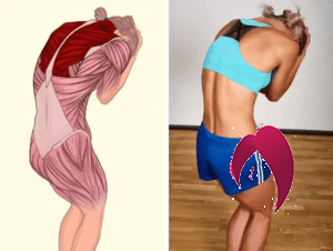 18 illustrations qui montrent exactement quels muscles vous étirez