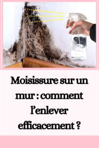 Moisissure sur un mur