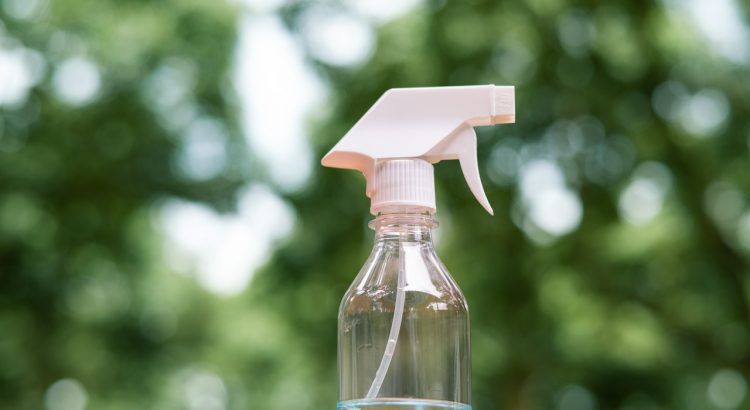 Spray 100% naturel pour éloigner les fourmis