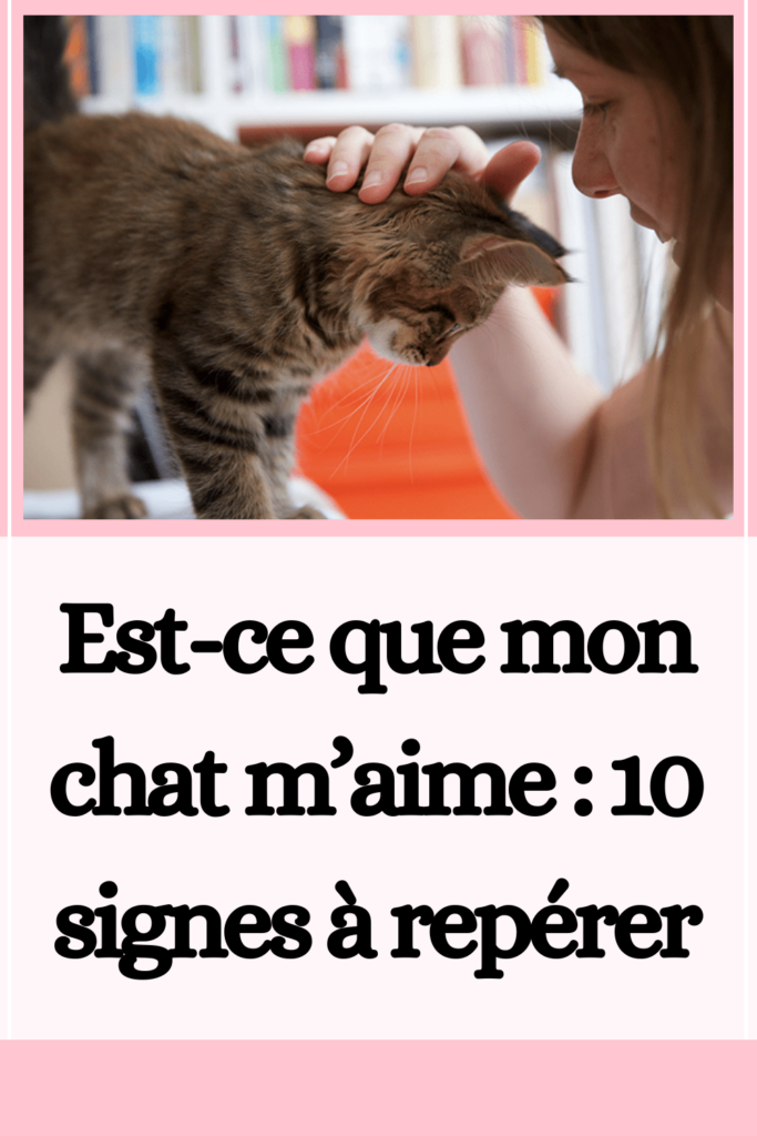 Est-ce que mon chat m’aime