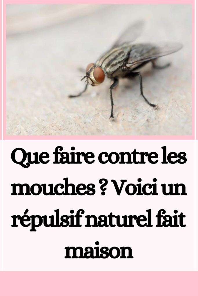 répulsif naturel contre les mouches