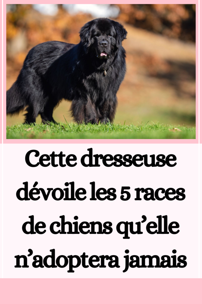 races de chiens qu’elle n’adoptera jamais