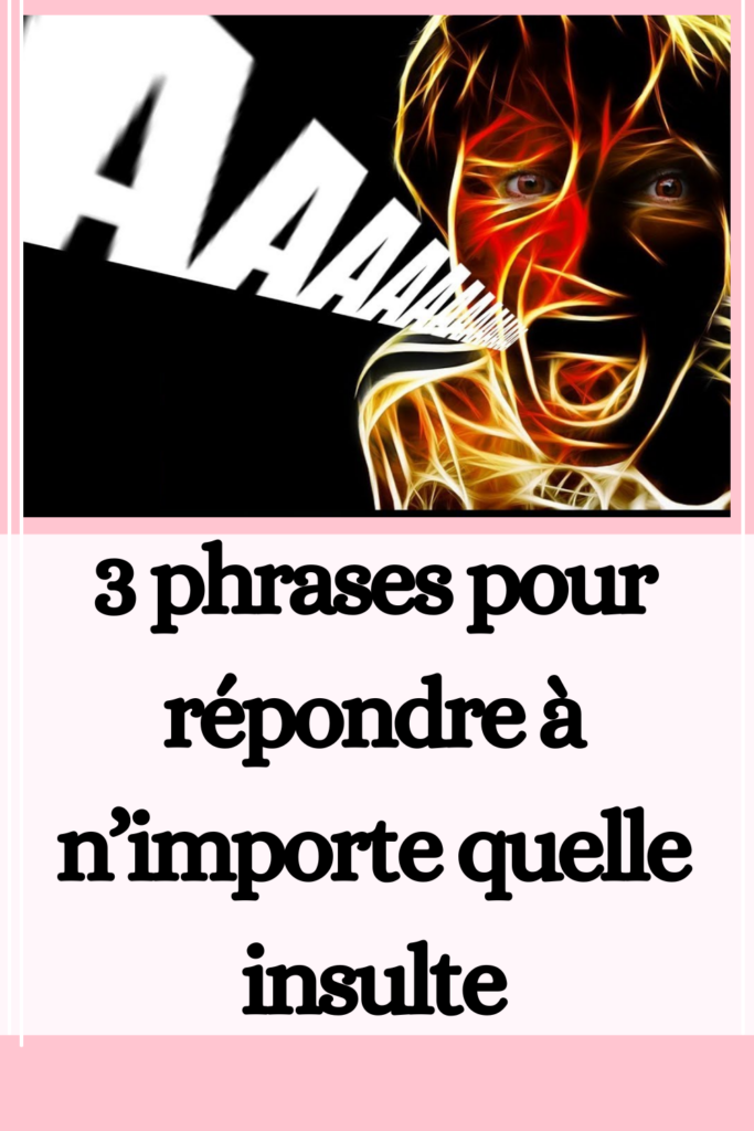 3 phrases pour répondre à n’importe quelle insulte