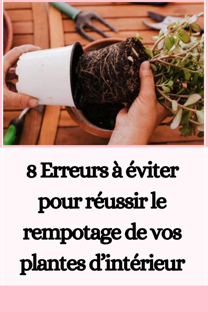 rempotage de vos plantes d’intérieur