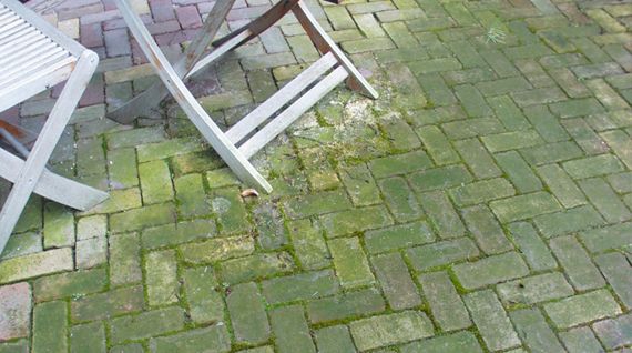 Enlever les Tâches Vertes sur les Carreaux de Terrasse