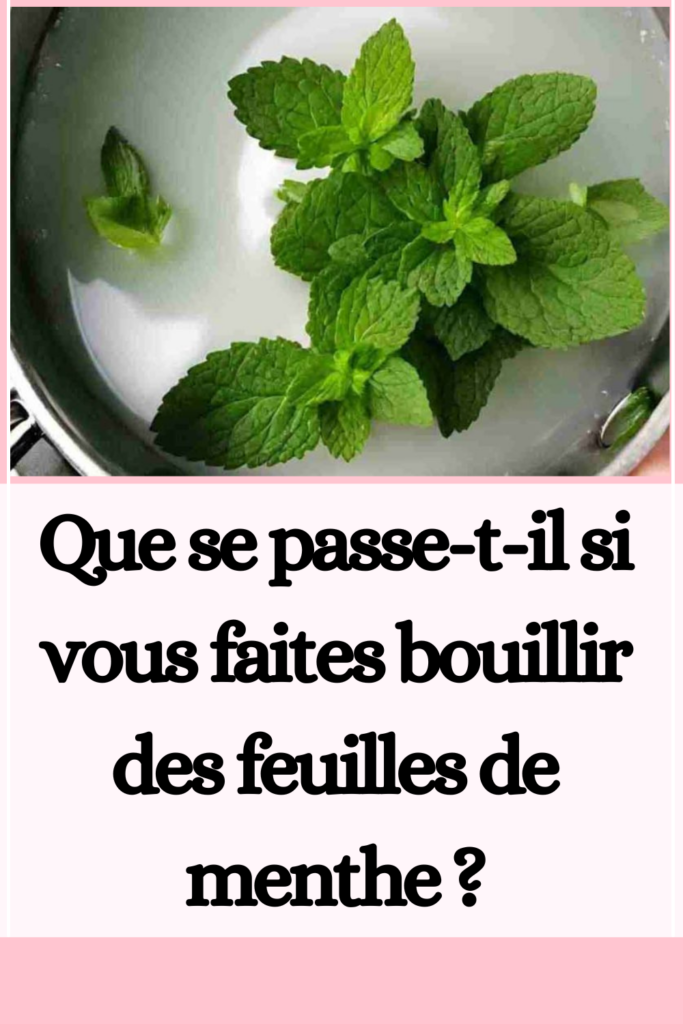 Que se passe-t-il si vous faites bouillir des feuilles de menthe ?