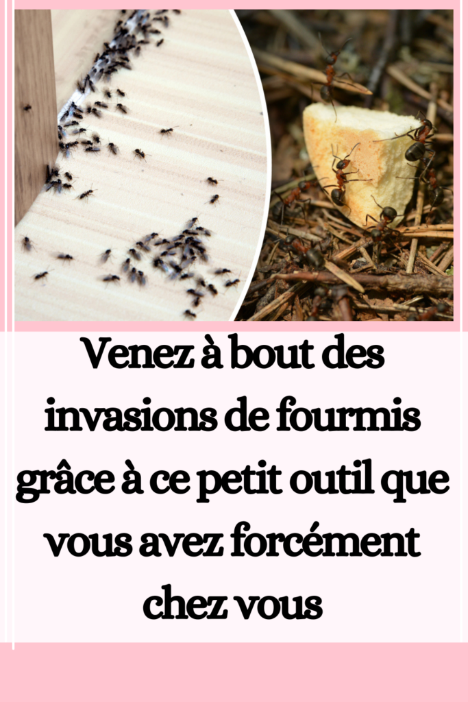 éloigner les fourmis