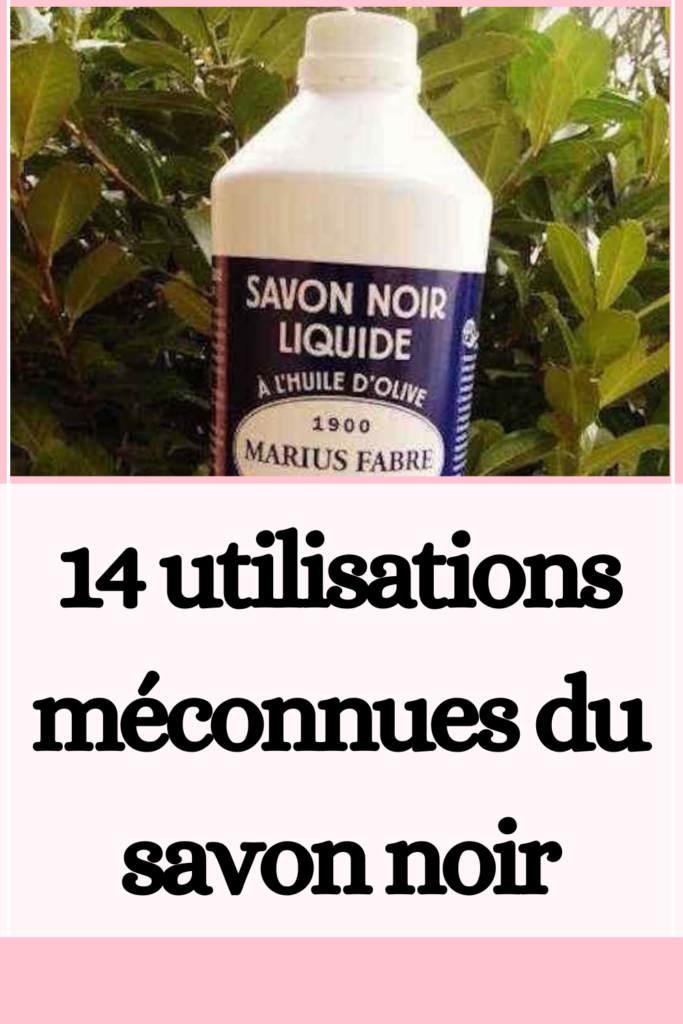 14 utilisations méconnues du savon noir