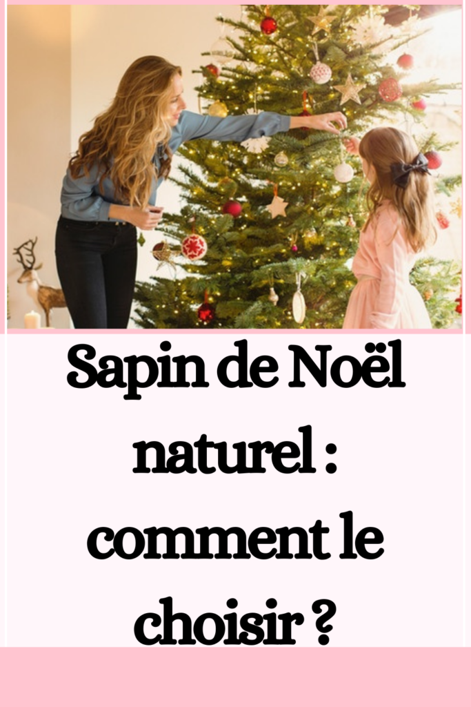 Sapin de Noël naturel