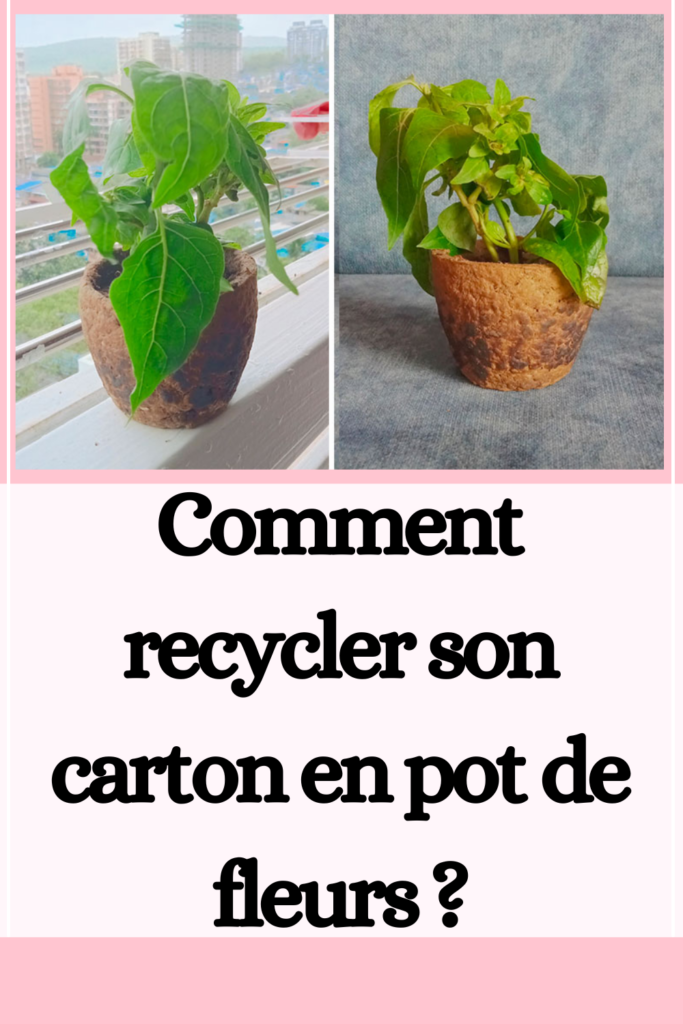 Comment recycler son carton en pot de fleurs ?