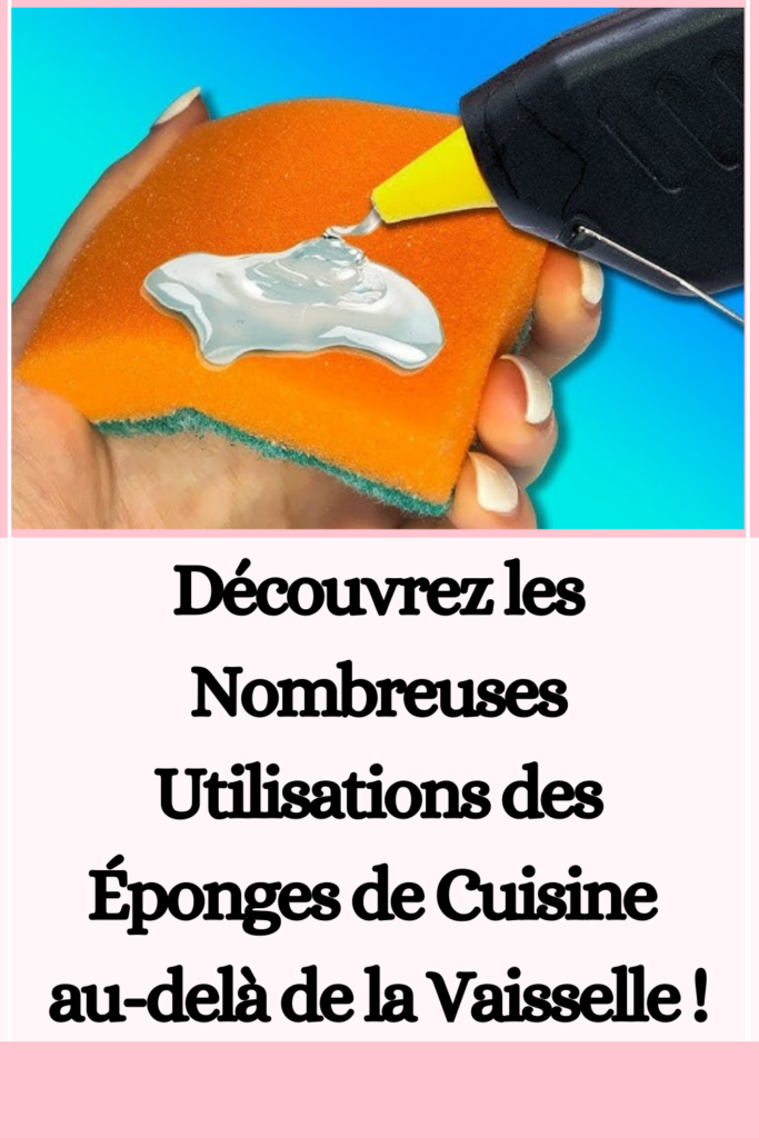 Éponges de Cuisine