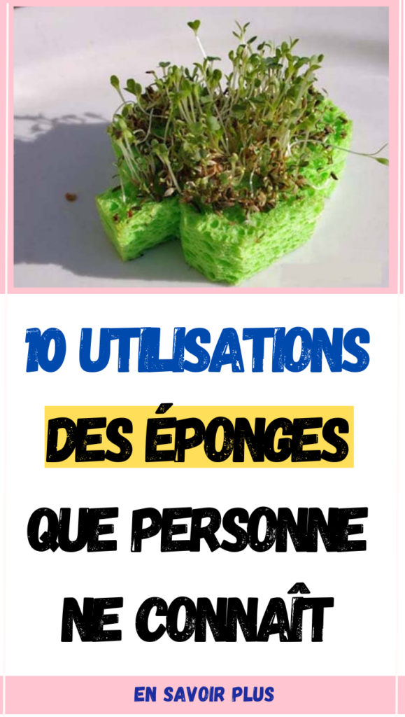 10 Utilisations des Éponges Que Personne Ne Connaît