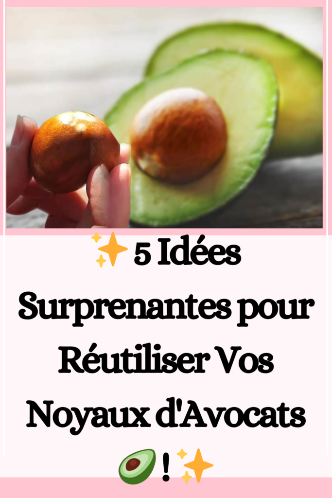 réutiliser ses noyaux d’avocats