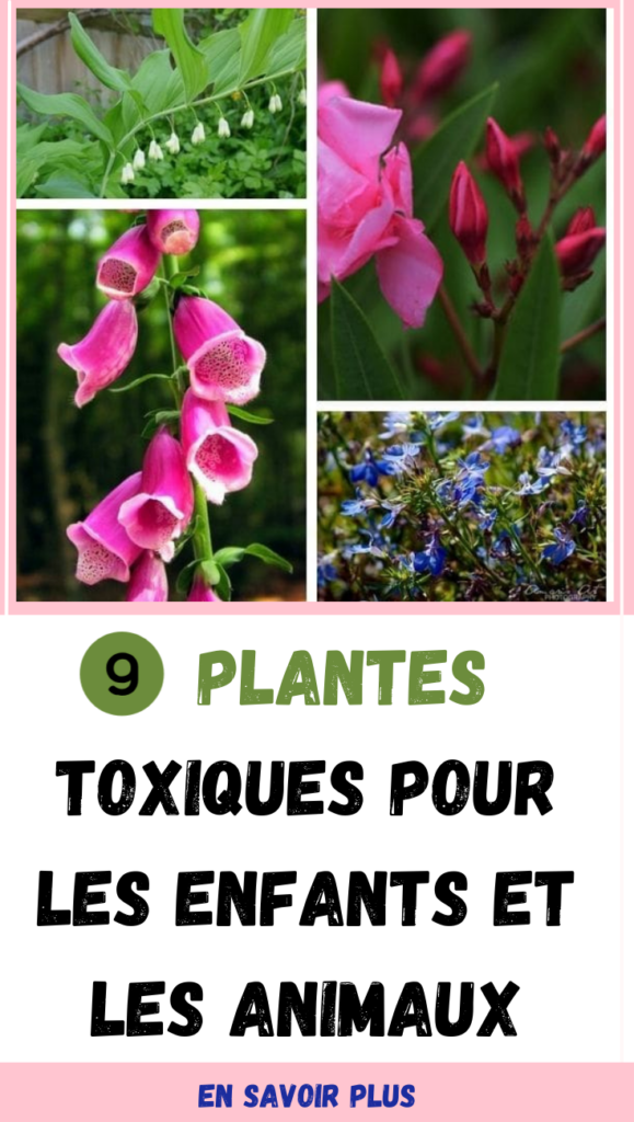 9 plantes toxiques pour les enfants et les animaux