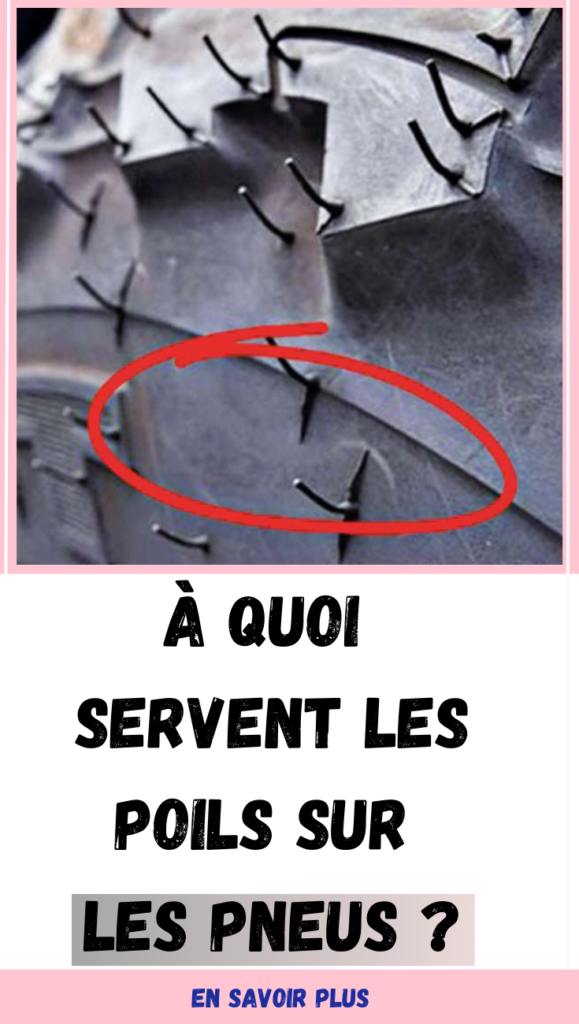 À quoi servent les poils sur les pneus