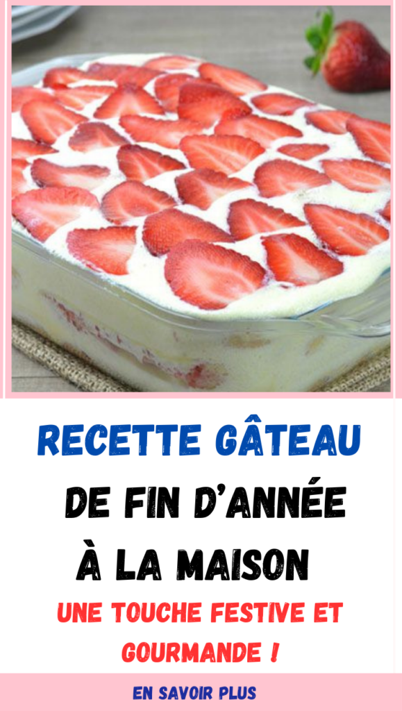 GÂTEAU DE FÊTES TRÈS FACILE