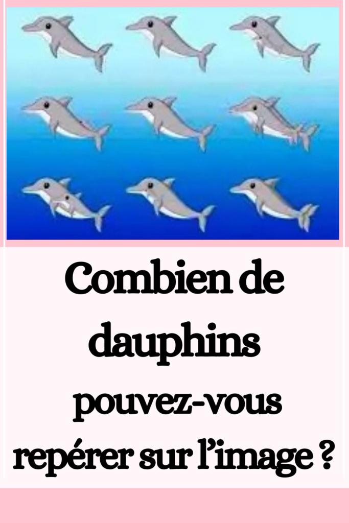 Combien de dauphins pouvez-vous repérer sur l’image