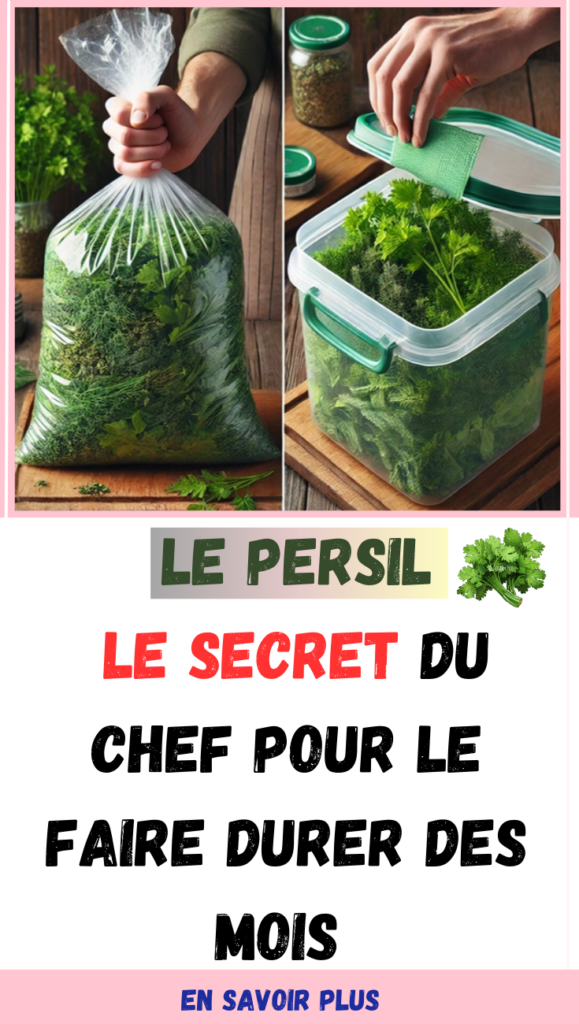 Le persil