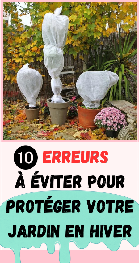 10 erreurs à éviter pour protéger votre jardin en hiver