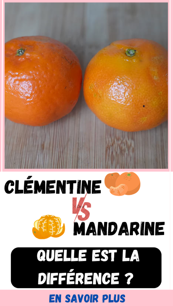 Clémentine vs Mandarine :