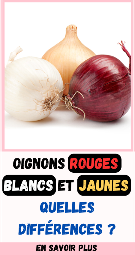 Oignons rouges, blancs et jaunes