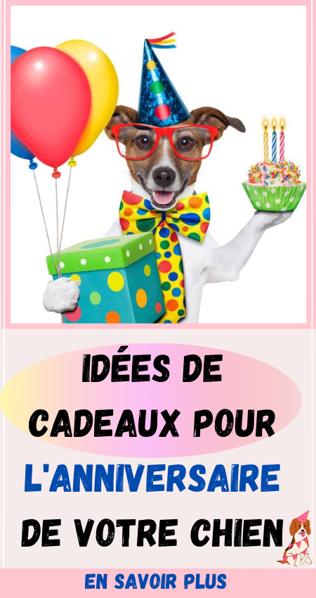 Idées de cadeaux pour l'anniversaire de votre chien