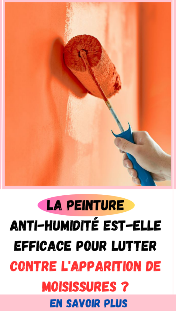 La peinture anti-humidité