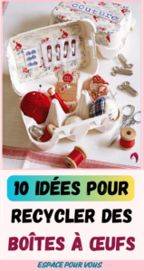 10 idées pour recycler des boîtes à œufs