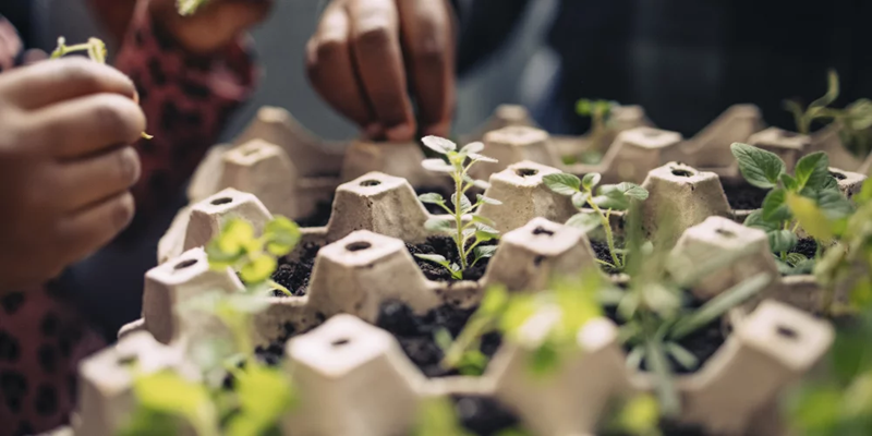 10 idées pour recycler des boîtes à œufs