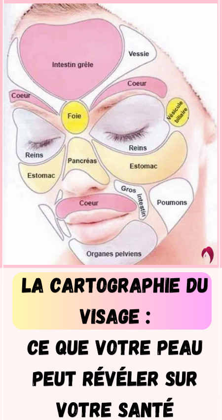 cartographie du visage