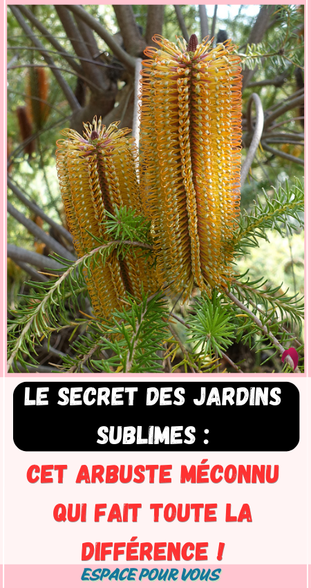 Le secret des jardins sublimes