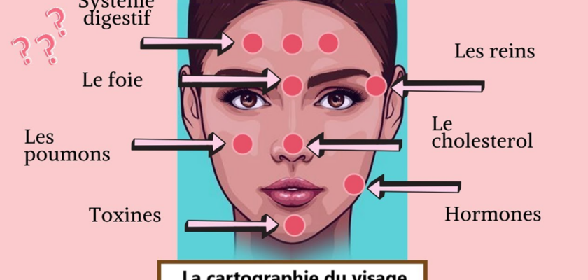 cartographie du visage